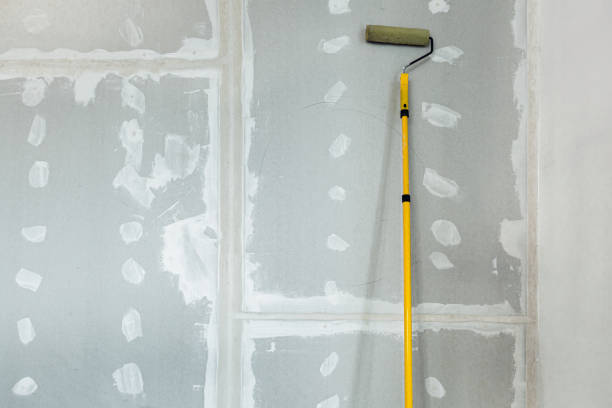 Best Drywall Crack Repair  in Little Elm, TX